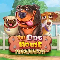 The Dog House Megaways gra w Hotline Casino dla graczy z Polski