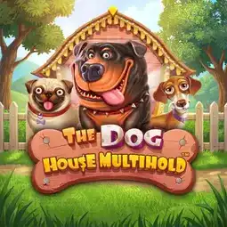 The Dog House Multihold gra w Hotline Casino dla graczy z Polski